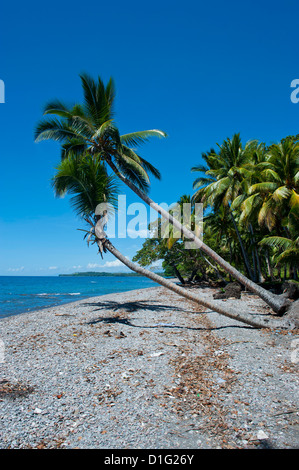 Plage sur l'île de Savo, Savo, Îles Salomon, Pacific Banque D'Images