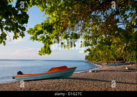 Plage sur l'île de Savo, Îles Salomon, Pacific Banque D'Images