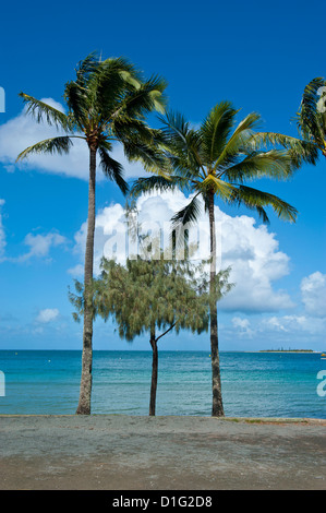 Plage de Nouméa, Nouvelle Calédonie, Mélanésie, Pacifique Sud, du Pacifique Banque D'Images