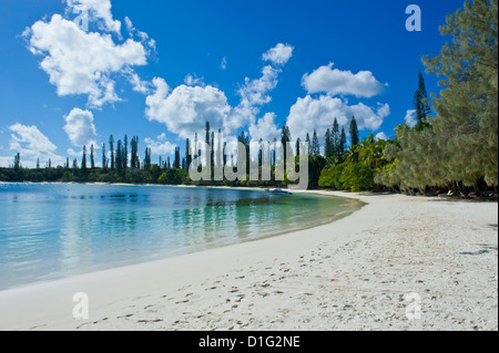 Plage de sable blanc, Baie de Kanumera, Ile des Pins, Nouvelle Calédonie, Mélanésie, Pacifique Sud, du Pacifique Banque D'Images