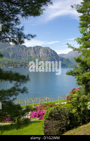 Jardins de la Villa Melzi, Bellagio, Lac de Côme, Lombardie, lacs italiens, Italie, Europe Banque D'Images