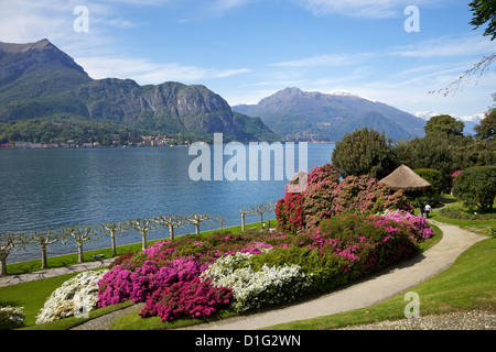 Jardins de la Villa Melzi, Bellagio, Lac de Côme, Lombardie, lacs italiens, Italie, Europe Banque D'Images