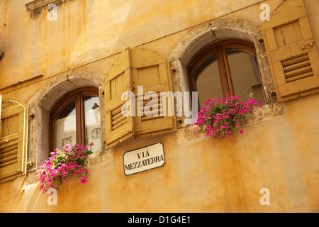 Des fenêtres à volets et fleurs, Piazza Mercato, Belluno, province de Belluno, Vénétie, Italie, Europe Banque D'Images