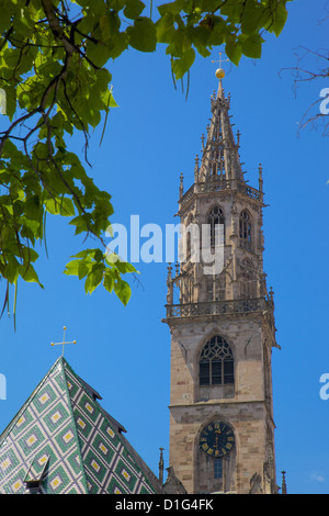 Duomo, Walther Platz, Bolzano, la Province de Bolzano, Trentin-Haut-Adige, Italie, Europe Banque D'Images