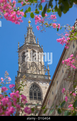 Duomo, Walther Platz, Bolzano, la Province de Bolzano, Trentin-Haut-Adige, Italie, Europe Banque D'Images