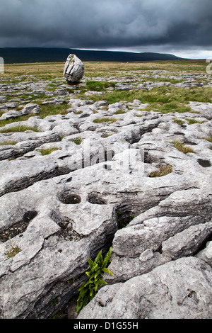 Lapiez et Standing Stone,Twisleton cicatrice, Yorkshire Dales, Yorkshire du Nord, Yorkshire, Angleterre, Royaume-Uni Banque D'Images