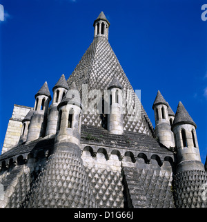 L'Abbaye de Fontevraud, cheminées cuisine (Fontevraud-l'abbaye), Vallée de la Loire, Anjou, France, Europe Banque D'Images