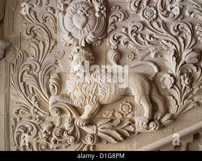 Palacio de Jabalquinto dans le site du patrimoine mondial Baeza, Espagne Andalousie, l'architecture de la renaissance en pierre escalier , lion sculpté Banque D'Images