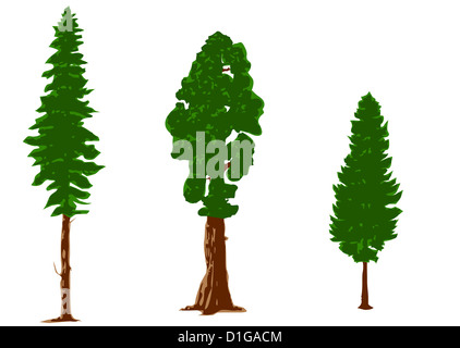 Silhouettes de pins isolated on white Banque D'Images