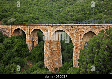 L'un des nombreux ponts, partie de l'Ano Gatzea Pelian, chemin de fer, village de montagne de Pelion, magnésie (magnésie), Thessalie, Grèce Banque D'Images