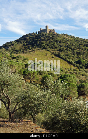 Fort Saint Elme situé sur une colline sur Collioure et Port-Vendres, côte Vermeille, Méditerranée, Roussillon, France Banque D'Images