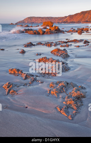 Kennack Sands sur l'aube sur la Péninsule du Lézard en Cornouailles, Angleterre, Royaume-Uni, Europe Banque D'Images