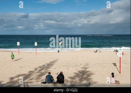 La promenade le long du front de mer dans la banlieue est de Sydney est superbe avec une vue magnifique sur les plages et la mer de Tasman. Banque D'Images