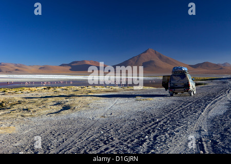 La Laguna Colorada, un lac salé dans le sud-ouest de l'altiplano, au sein de la faune andine Eduardo Avaroa Réserve nationale, Bolivie Banque D'Images