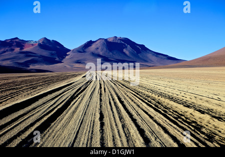 Salvador Dali DALI Désert Valley (Valle de Dali), au sud-ouest des Highlands, Bolivie, Amérique du Sud Banque D'Images