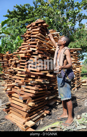 Les piles de bois de l'homme, de déchets provenant d'une scierie dans la province de Madang, Papouasie Nouvelle Guinée Banque D'Images