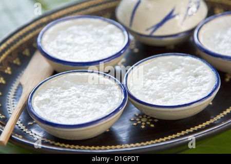 Dessert thaï fait de lait de coco, la farine, la farine de tapioca et feuilles de pandan Banque D'Images