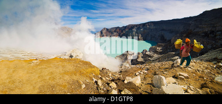 Panorama du travailleur soufre apparaissant hors de vapeurs toxiques au volcan Kawah Ijen, Java Est, Indonésie, Asie du Sud, Asie Banque D'Images