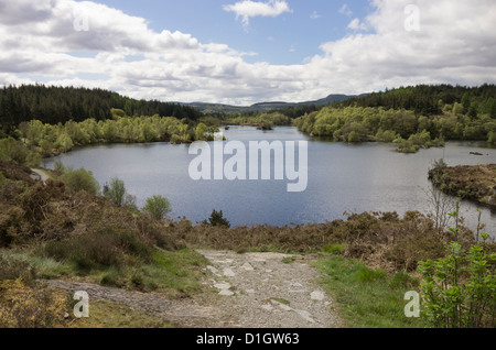 Voir plus haut dans le réservoir l'ELSI Llyn Gwydyr forêt du Parc National de Snowdonia près de Betws-Y-coed, au nord du Pays de Galles, Royaume-Uni Banque D'Images