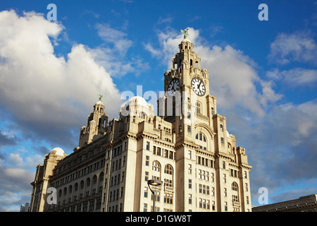 Liver Building à Liverpool dans le soleil l'après-midi avec ciel bleu et nuages Banque D'Images