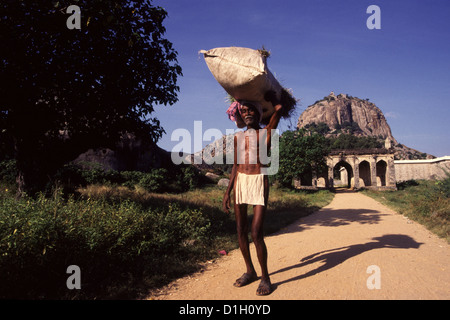 Un villageois transportant un sac rempli avec des herbes sur sa tête dans Gingee Fort localement appelé Senji au Tamil Nadu Inde Banque D'Images