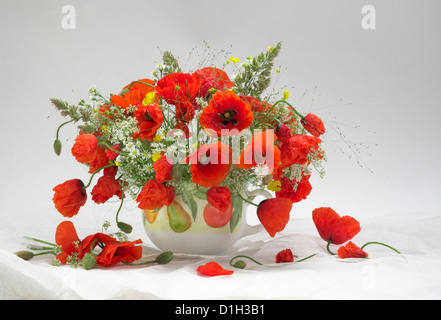Bouquet de fleurs coquelicots Banque D'Images