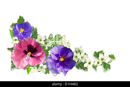 Cadre fait ​​Of découpe fleurs sur fond blanc Banque D'Images
