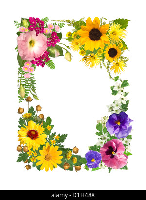 Cadre fait ​​Of découpe fleurs sur fond blanc Banque D'Images