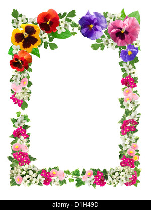 Cadre fait ​​Of découpe fleurs sur fond blanc Banque D'Images