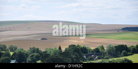 L'agriculture dans le Wiltshire crop circles Banque D'Images