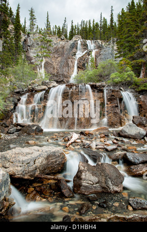 Chutes Tangle Creek dans le parc national Jasper, Alberta, Canada Banque D'Images