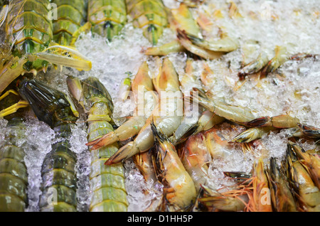 Set de fruits de mer frais sur la glace Banque D'Images