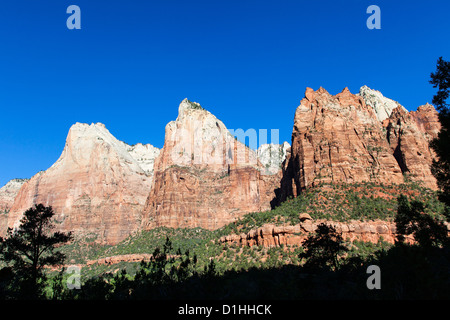 Cour des Patriarches, Zion NP, de l'Utah Banque D'Images