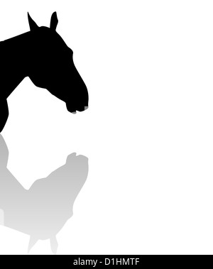 Sillhouette d'une tête de cheval avec réflexion Banque D'Images