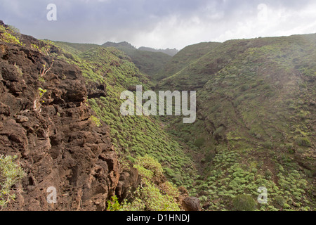 Ravin près de Santo Domingo de Garafia, La Palma, Canary Islands, Spain Banque D'Images