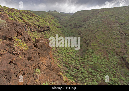 Ravin près de Santo Domingo de Garafia, La Palma, Canary Islands, Spain Banque D'Images