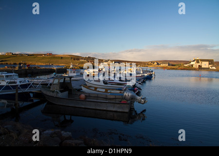 Les petits bateaux ancrés dans le petit port de plaisance de murs, Westside, Shetland, UK Banque D'Images