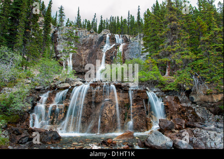 Chutes Tangle Creek dans le parc national Jasper, Alberta, Canada Banque D'Images