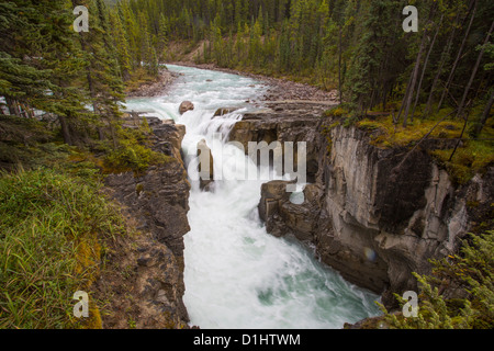 Les chutes Sunwapta, le long de la promenade des Glaciers dans le parc national Jasper en Alberta Canada, dans les Rocheuses canadiennes Banque D'Images