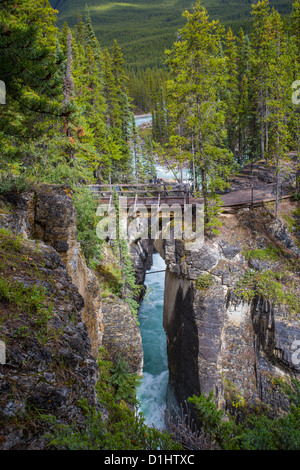 Les chutes Sunwapta, le long de la promenade des Glaciers dans le parc national Jasper en Alberta Canada, dans les Rocheuses canadiennes Banque D'Images