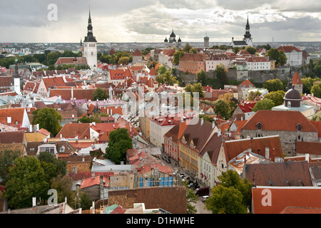 Vue sur les toits de la vieille ville de Tallinn, capitale de l'Estonie. Banque D'Images