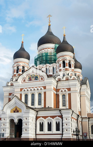 La cathédrale Alexandre Nevsky à Tallinn, capitale de l'Estonie. Banque D'Images