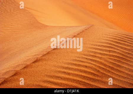 Ondulations dans le désert de dunes de sable Banque D'Images