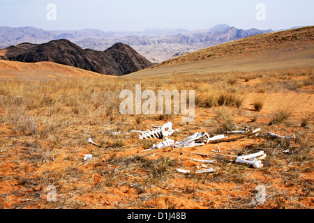 La mort dans les montagnes du nord de la Namibie, Hartman Banque D'Images