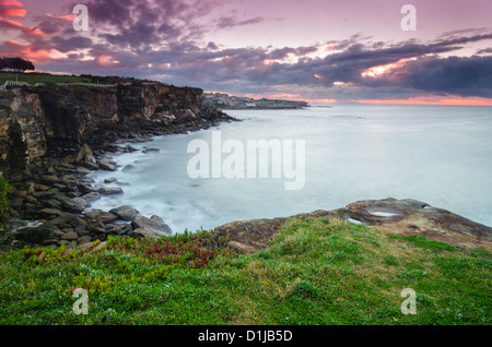 Lever du soleil sur la plage de Coogee, Sydney Australie Banque D'Images