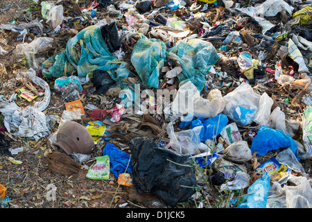Ordures jetées avec des sacs en plastique dans la campagne indienne