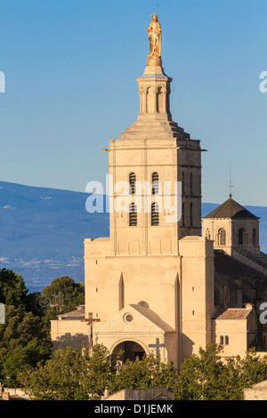 Avignon - Notre Dames des dômes église près de Palais Papal, Provence, France Banque D'Images