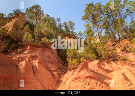 Les falaises rouges de Roussillon (Les Ocres), Provence, France Banque D'Images