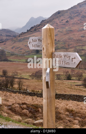 Sentier en bois sculpté main direction poster sign in peu Langdale, Cumbria, Lake District, England, UK. Banque D'Images