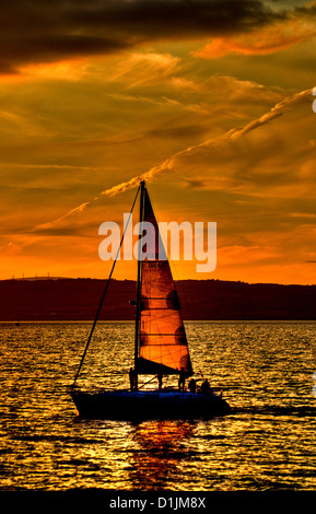 Navire naviguant sur le lac de Belfast au coucher du soleil Banque D'Images